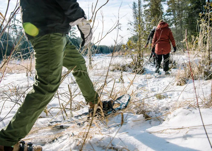 Snowshoeing