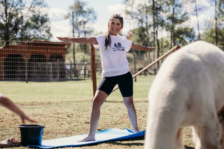 Person demonstrating a yoga pose among alpacas