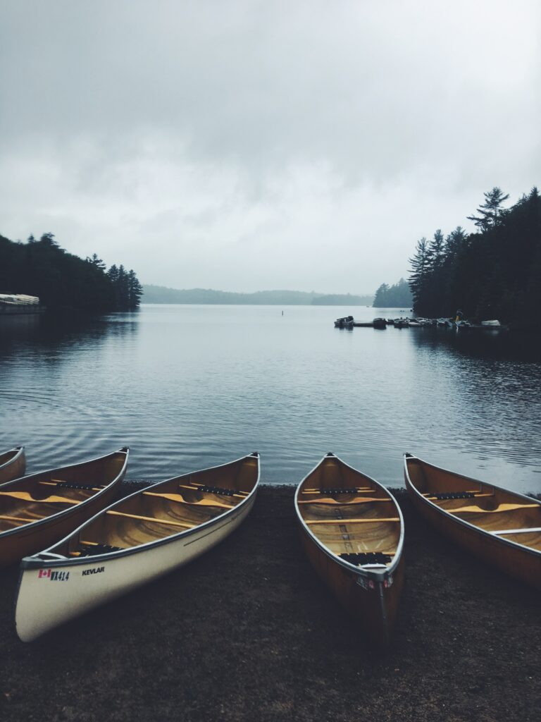 Four canoes resting on a shore next a lake