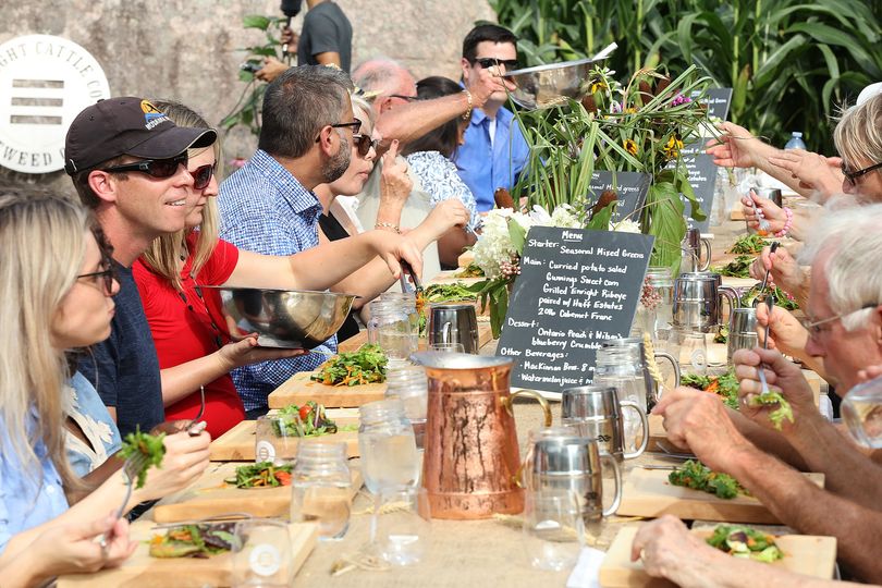 Group of people eating dinner together at a table in a corn field