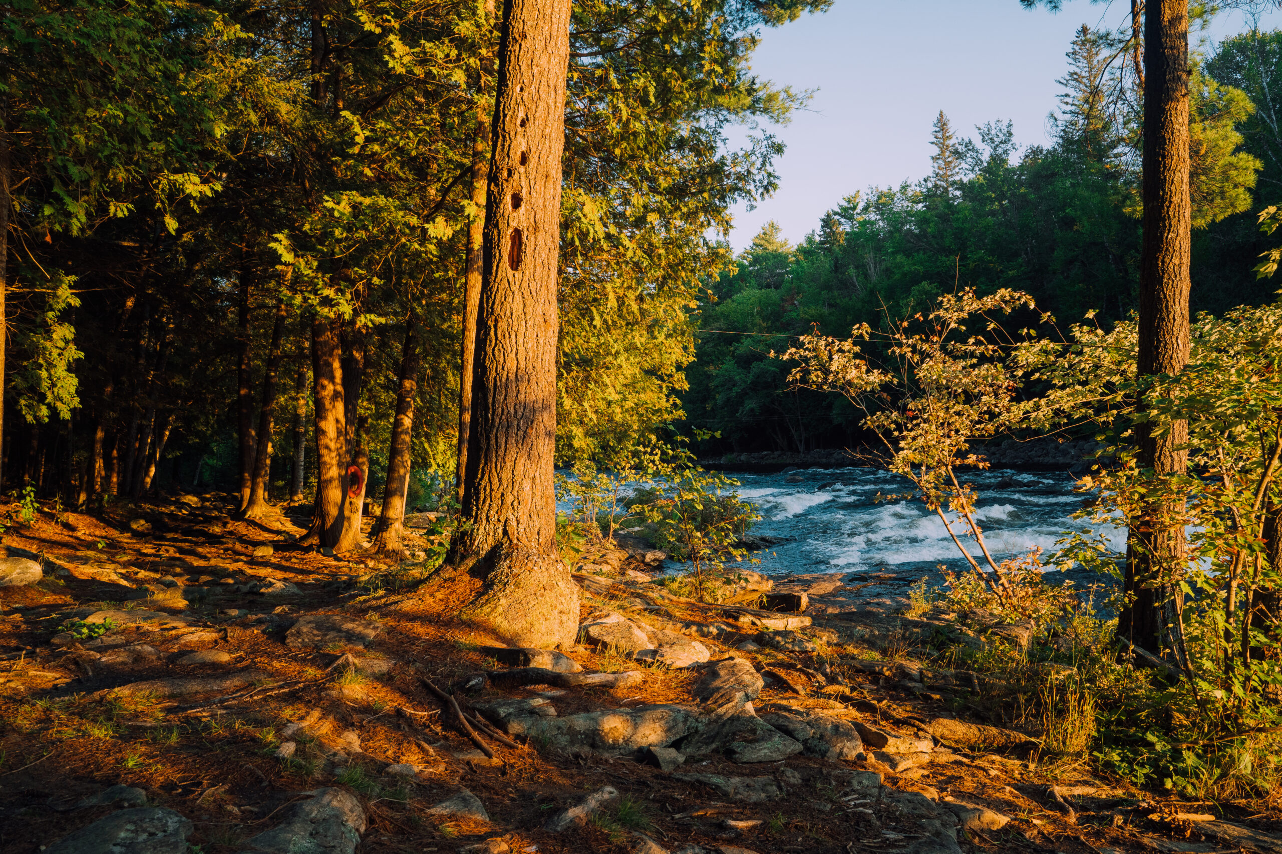 Yoga Retreat Nature