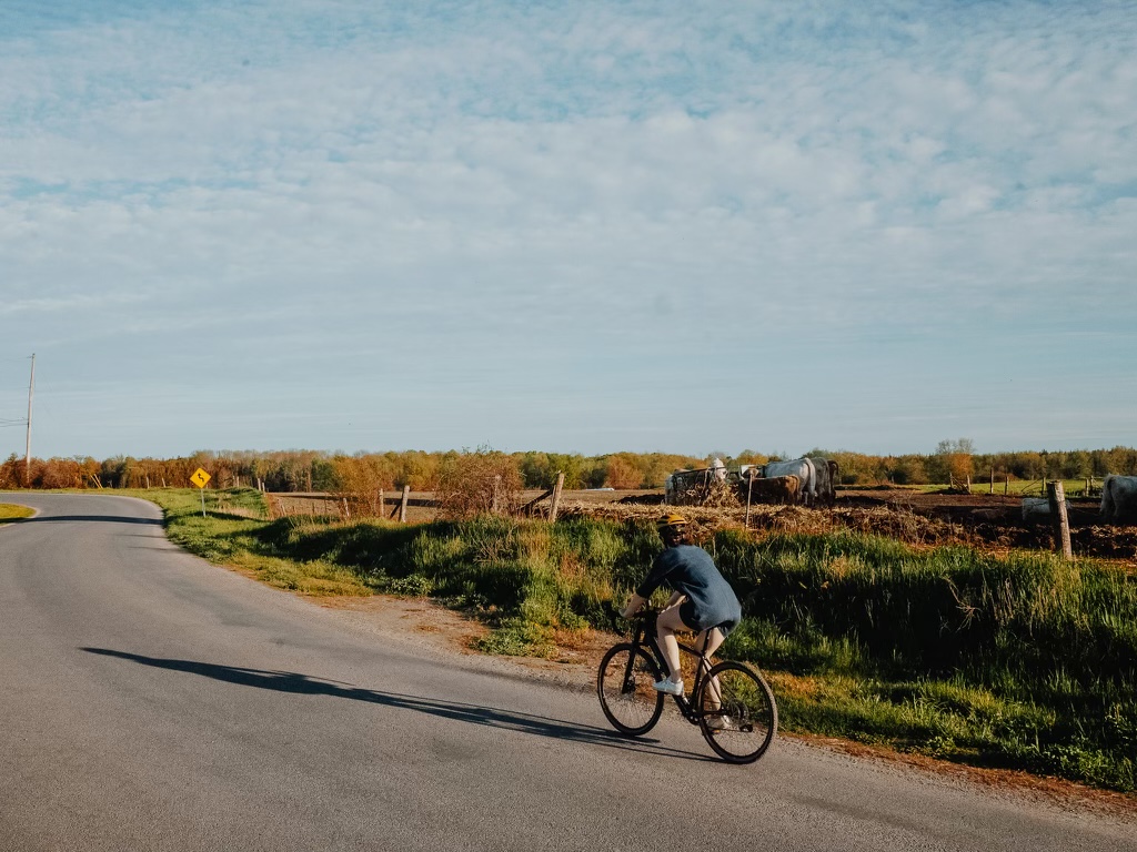 Cow Country Cycling