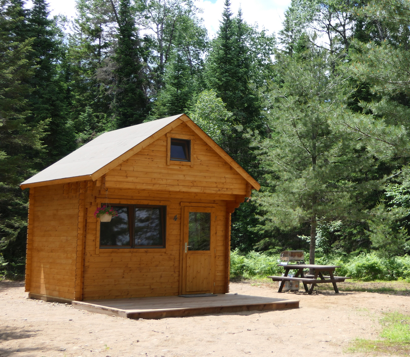 Off-grid cabin nestled among trees at Highland Wilderness TOurs