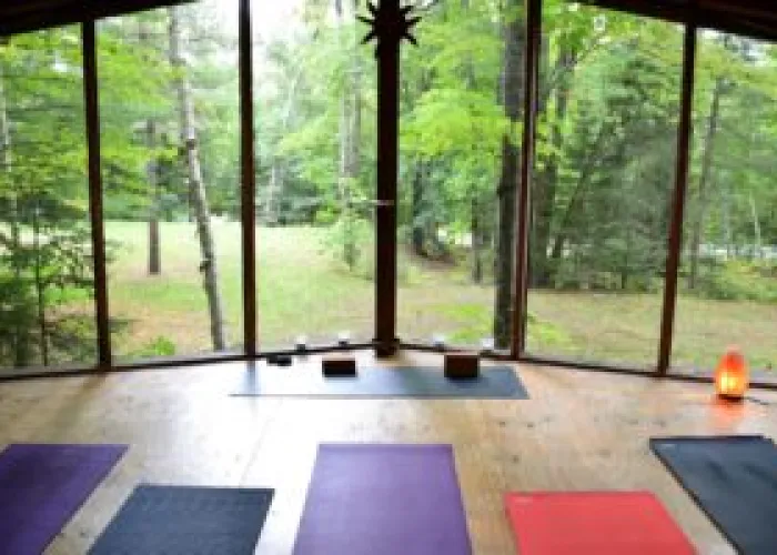 Yoga studio with large windows looking out over a forested area