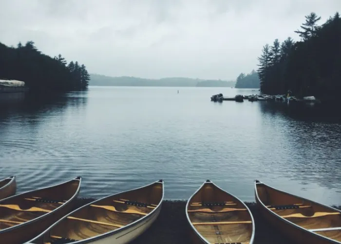 Four canoes resting on a shore next a lake