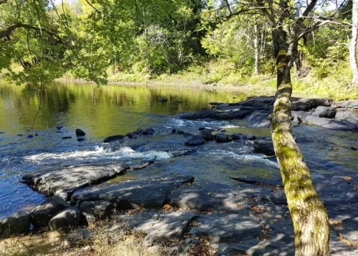 A flat rock shore next to a river with trees in the background