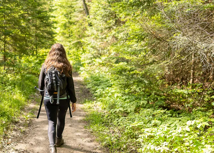 Hiking on Trail