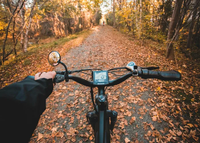 Fall Cycling - FreeStock