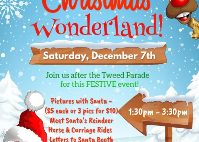 Christmas Wonderland Poster