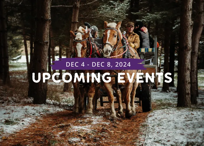 Ohara Mill Christmas: Upcoming Events December 4th through December 8th. Horses pulling a sleigh with people and snow on the ground