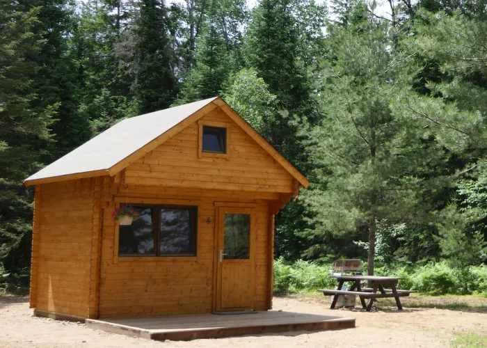 Off-grid cabin nestled among trees at Highland Wilderness TOurs